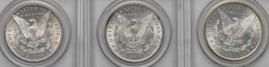 Seven certified Gem Uncirculated Morgan dollars
