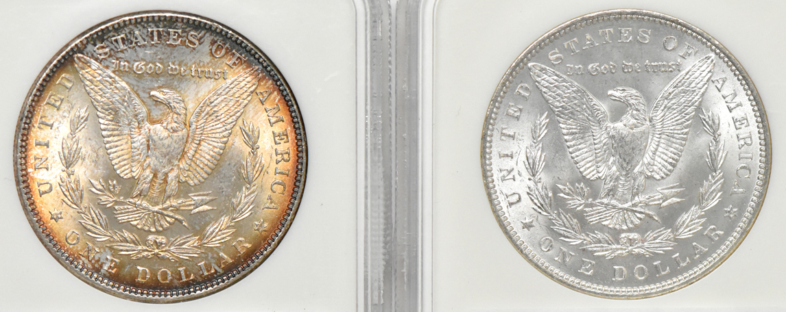 Seven certified Gem Uncirculated Morgan dollars