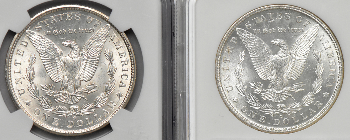 Seven certified Gem Uncirculated Morgan dollars