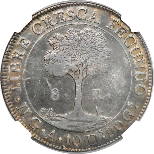 Central American Republic - 1847-NG A 8 reales - NGC AU-55