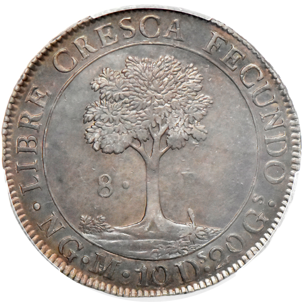 Central American Republic - 1829-NG M 8 reales - PCGS AU-58