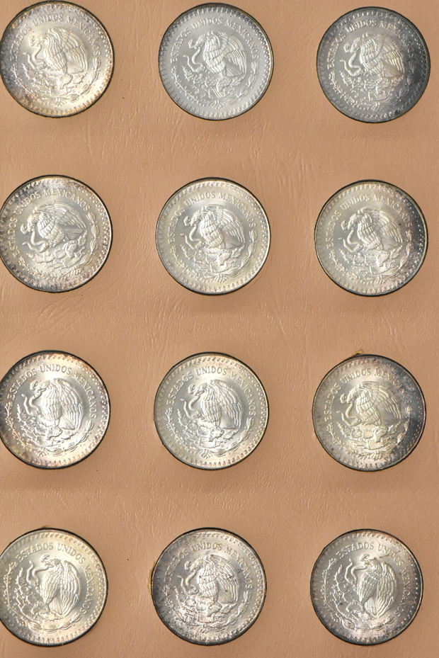 Mexico - Eighteen different Libertad 1 onzas in a Dansco 7232 album