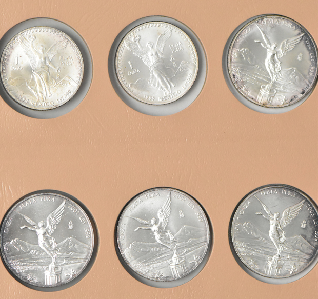 Mexico - Eighteen different Libertad 1 onzas in a Dansco 7232 album