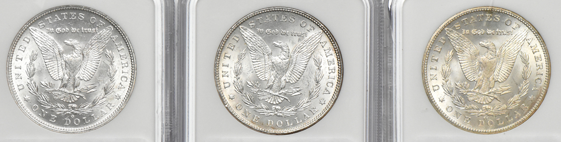 Six Morgan dollars, all NGC MS-64