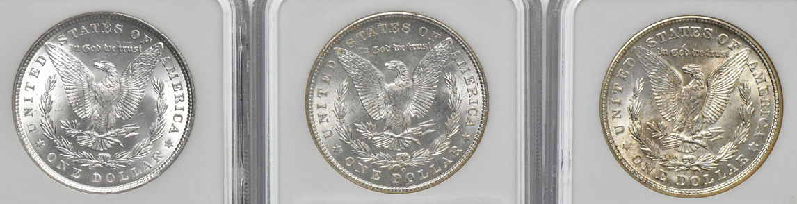 Six Morgan dollars, all NGC MS-64