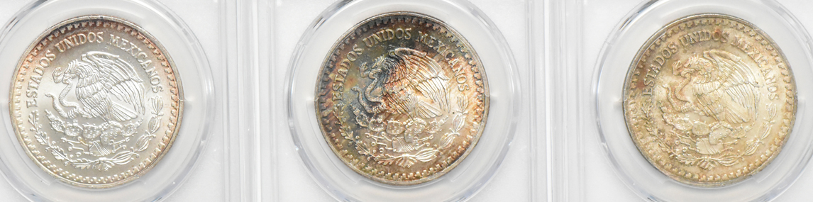 Mexico - Group of 13 Libertad 1 onza, all PCGS