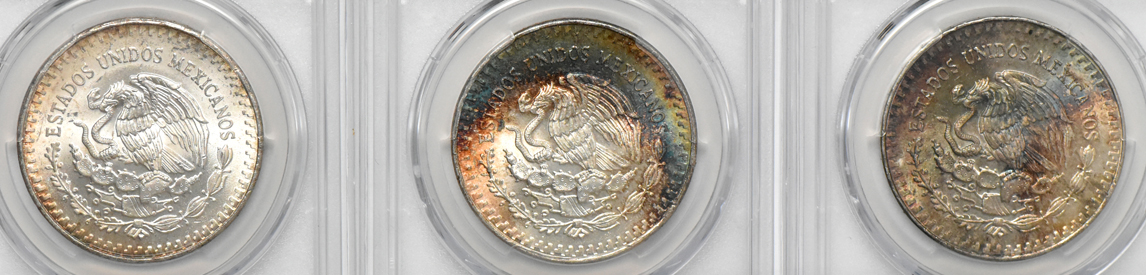 Mexico - Fourteen Libertad 1 onza, all PCGS