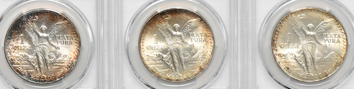Mexico - Fourteen Libertad 1 onza, all PCGS
