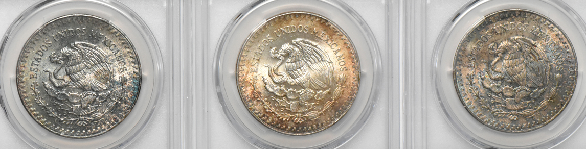 Mexico - Fourteen Libertad 1 onza, all PCGS