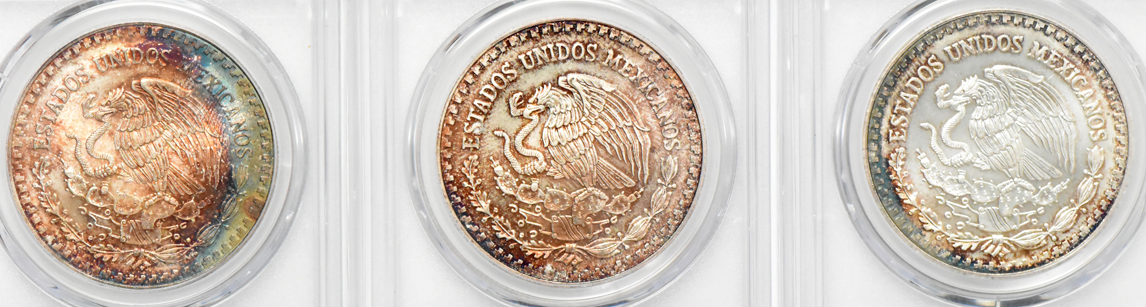 Mexico - Fourteen Libertad 1 onza, all PCGS