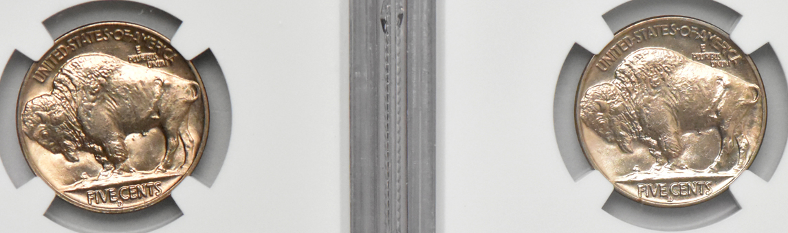 Five certified Buffalo nickels