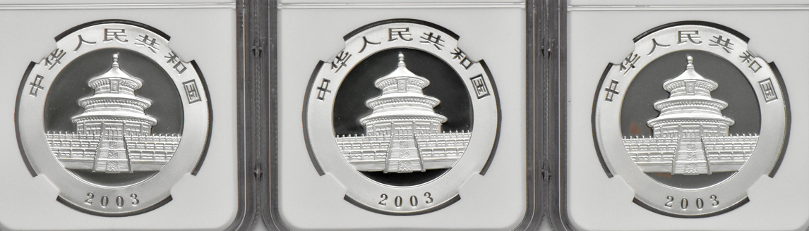 China - Ten 2003 mirrored bamboo 1oz silver Panda 10 yuan, all NGC MS-70