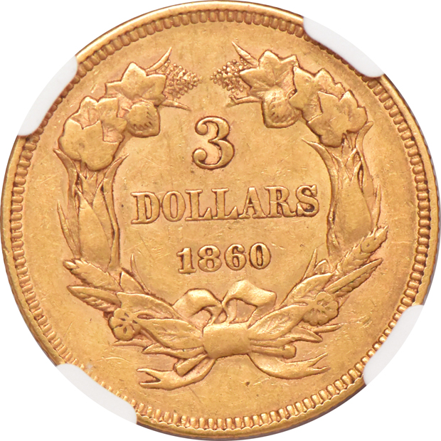 1860 NGC AU details/cleaned