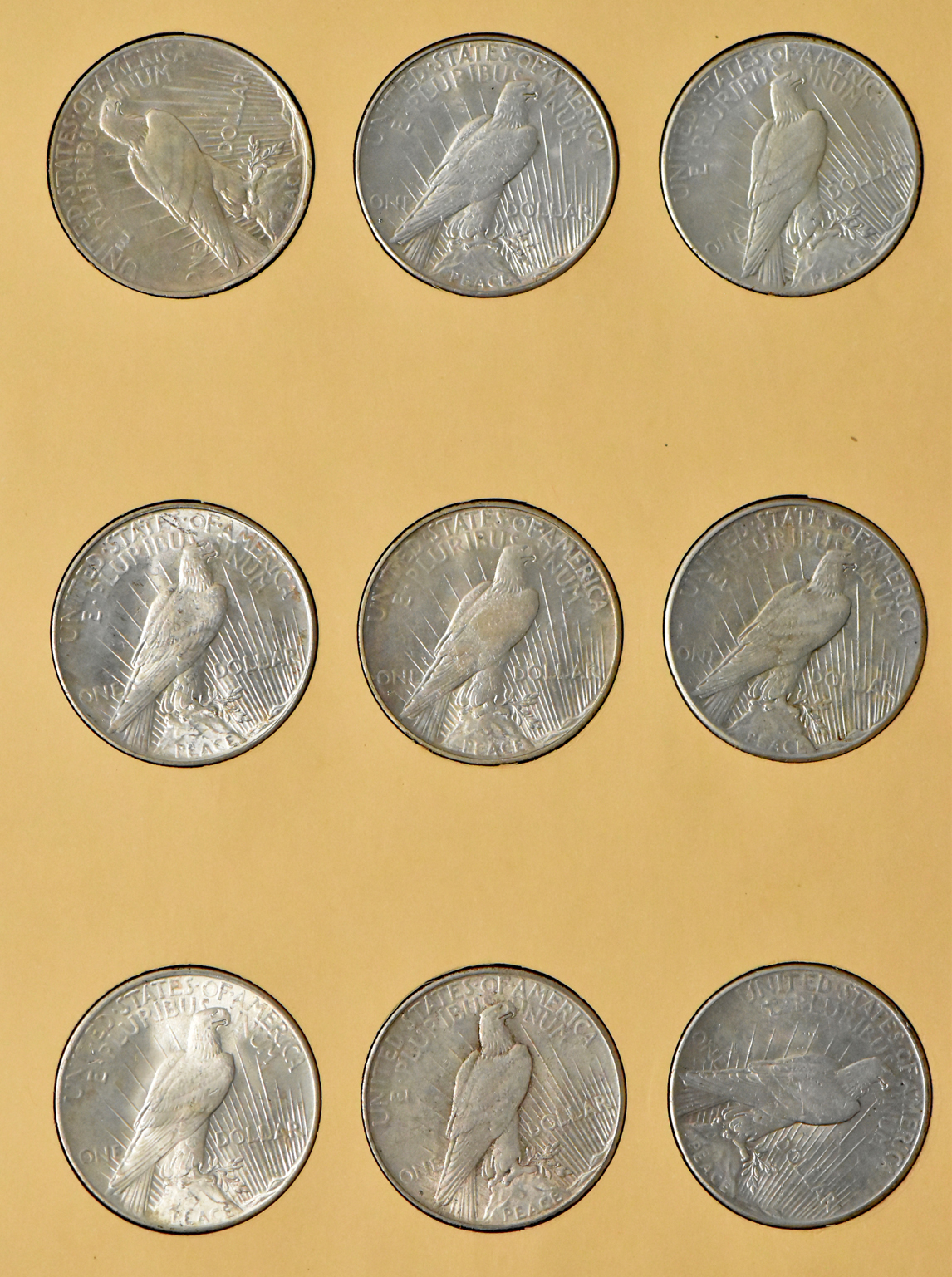 Collection of 24 Peace dollars in a complete Library of Coins Vol. 26 album