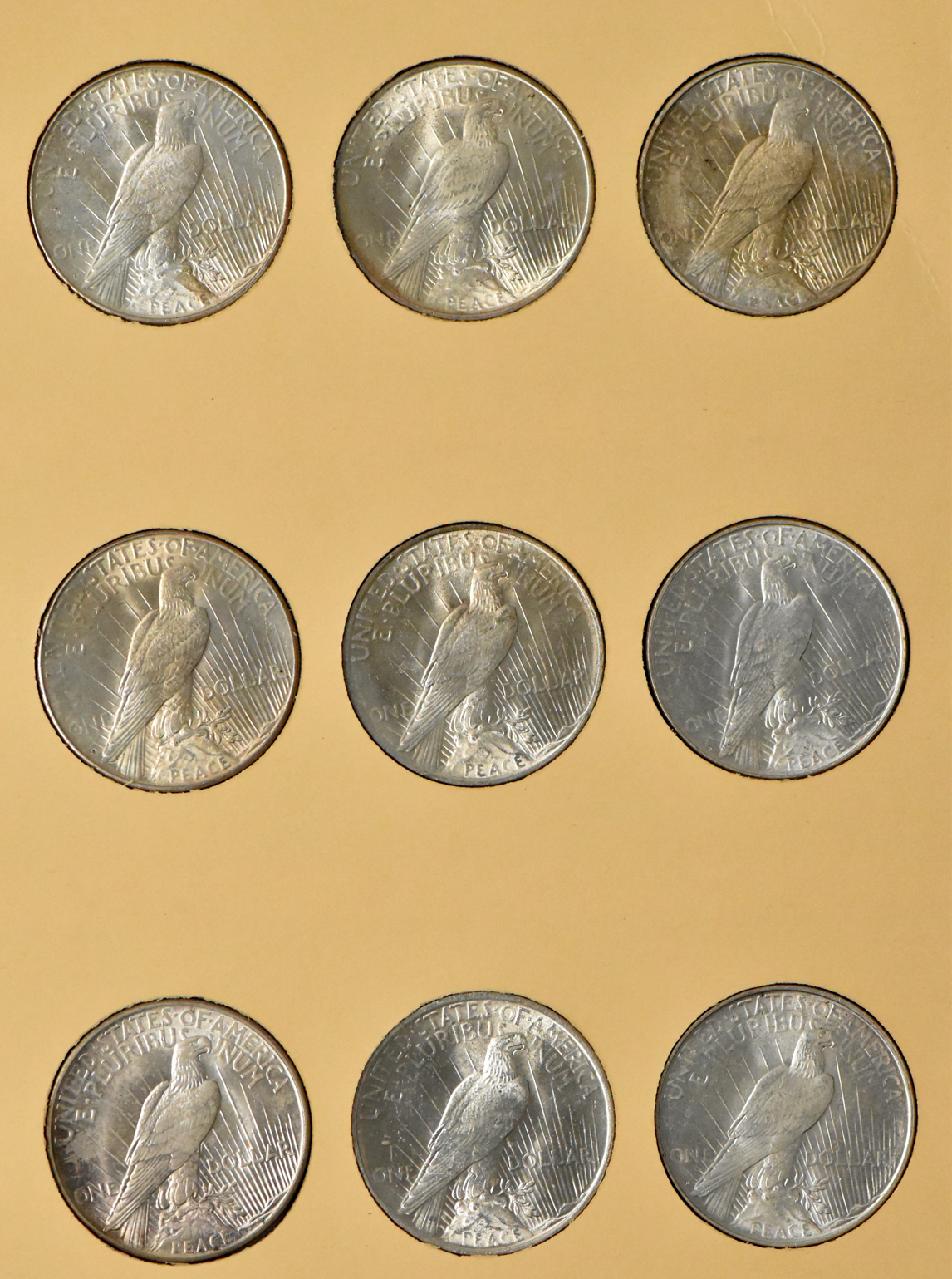 Collection of 24 Peace dollars in a complete Library of Coins Vol. 26 album