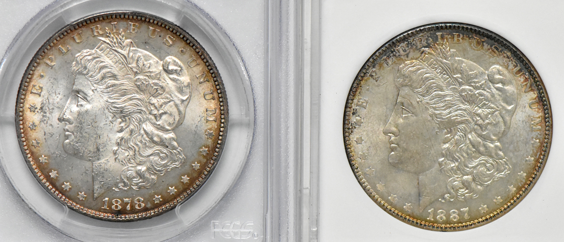 Philadelphia Morgan dollar set in a Wayte Raymond album