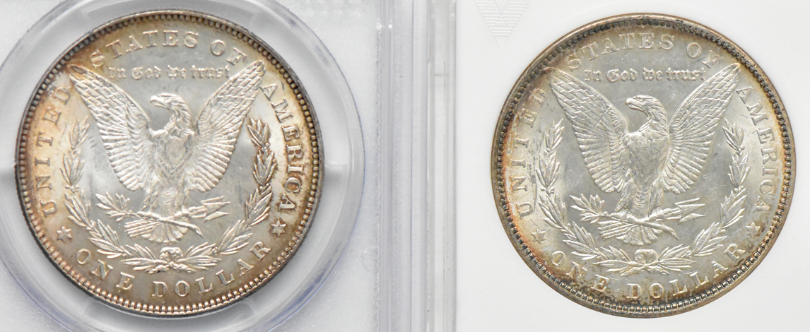 Philadelphia Morgan dollar set in a Wayte Raymond album