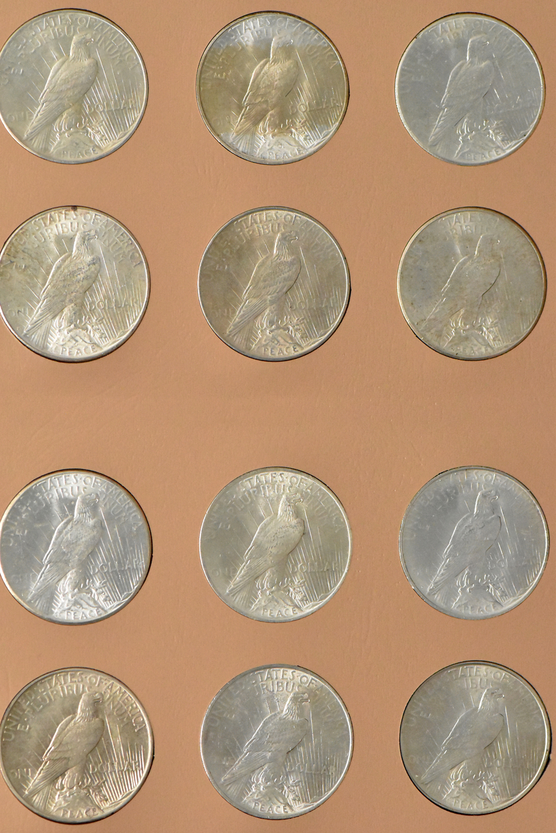 Collection of Peace dollar in a complete Dansco 7175 album