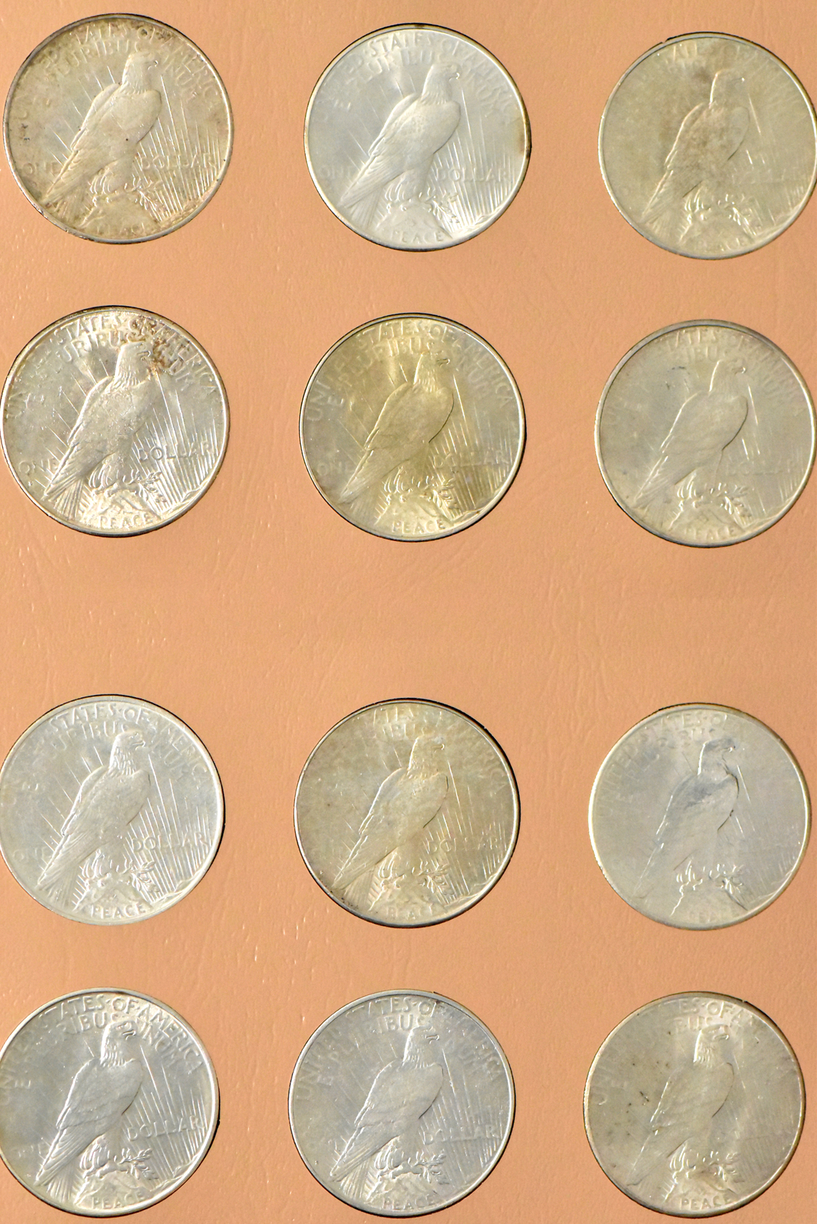 Collection of Peace dollar in a complete Dansco 7175 album
