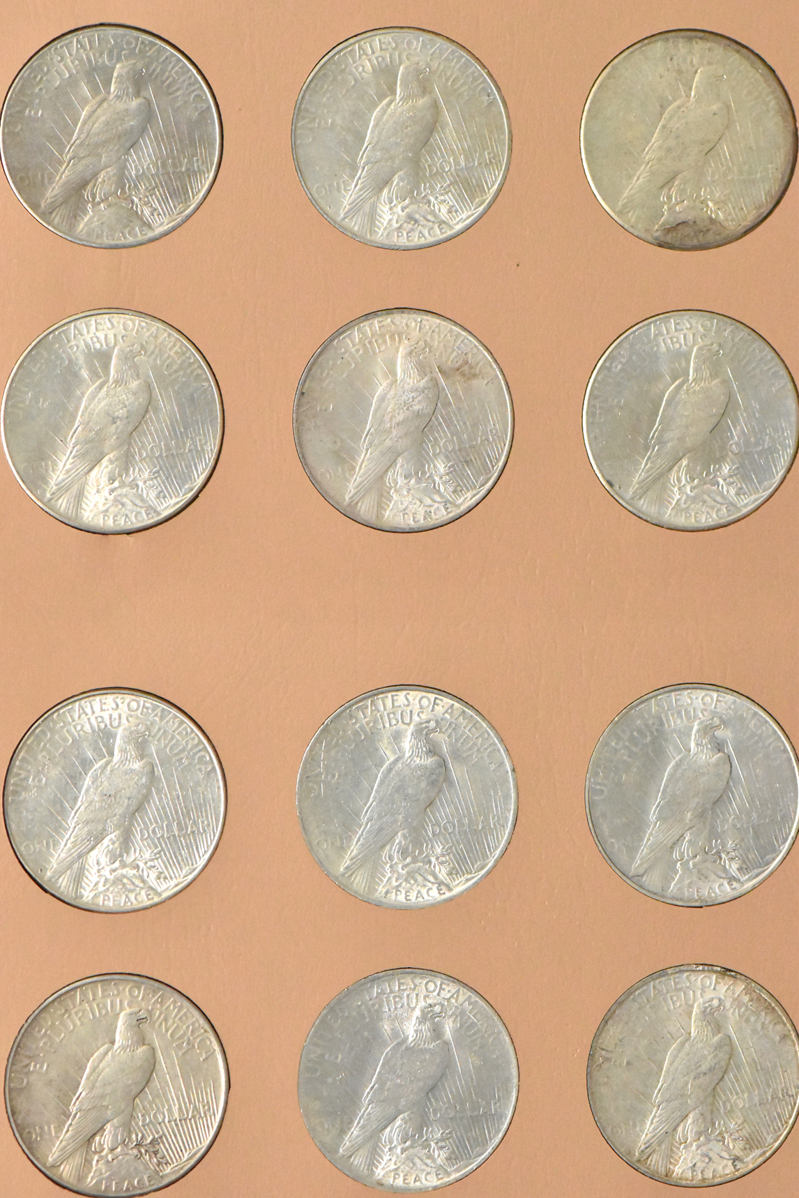 Collection of Peace dollar in a complete Dansco 7175 album