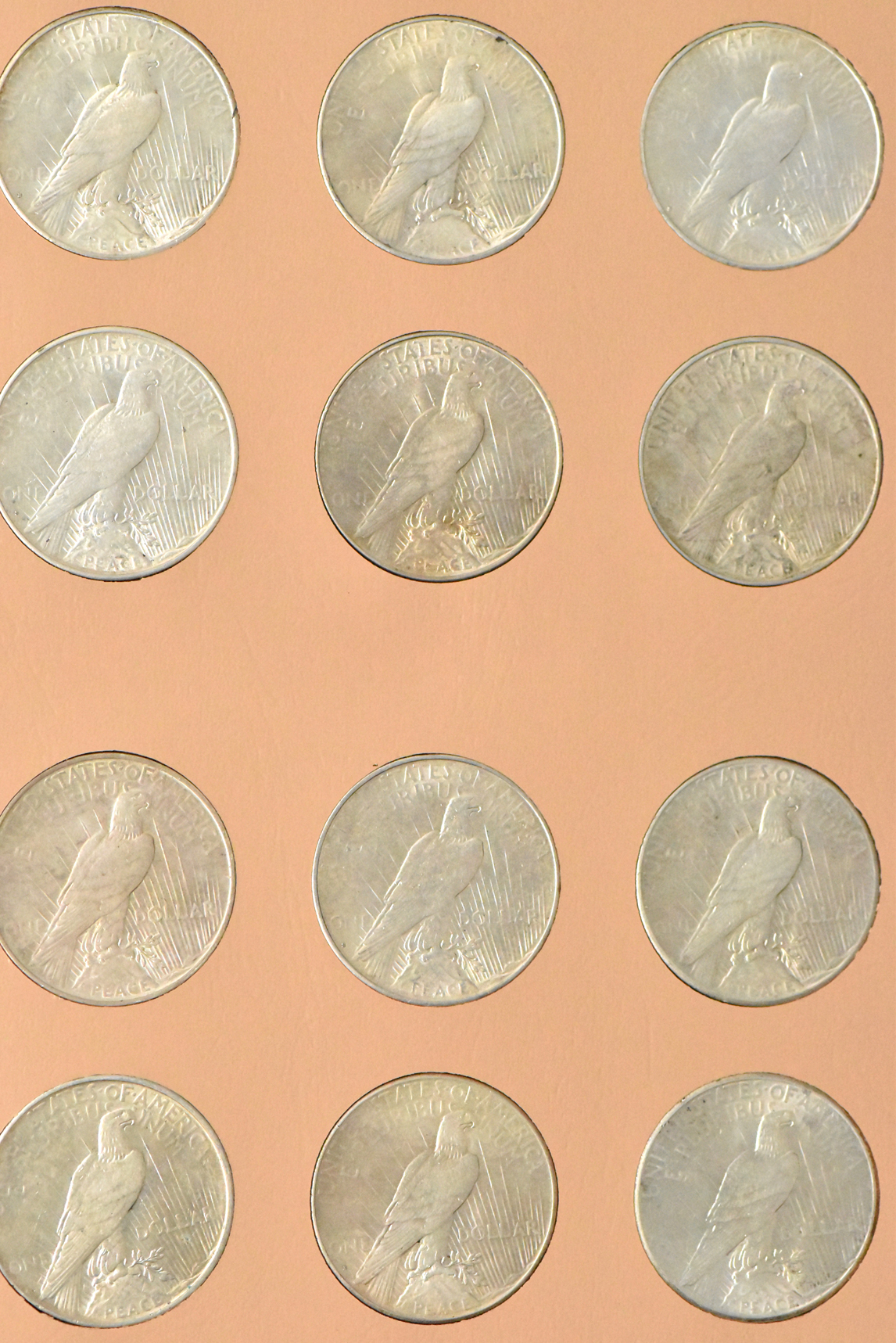 Collection of Peace dollar in a complete Dansco 7175 album