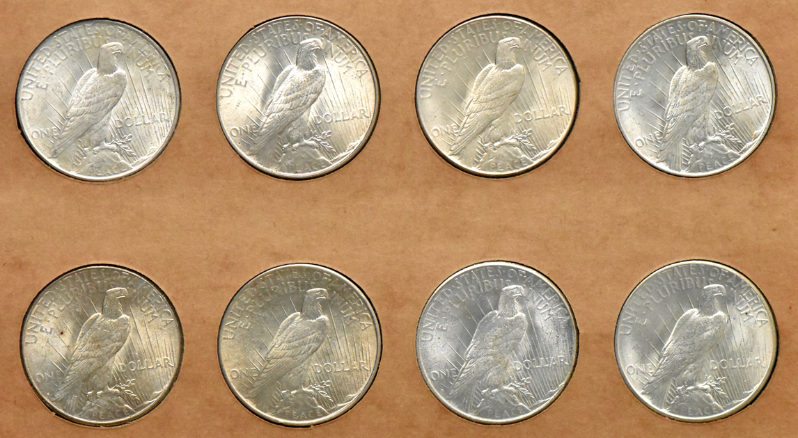 Collection of Peace dollars in a complete Wayte Raymond album
