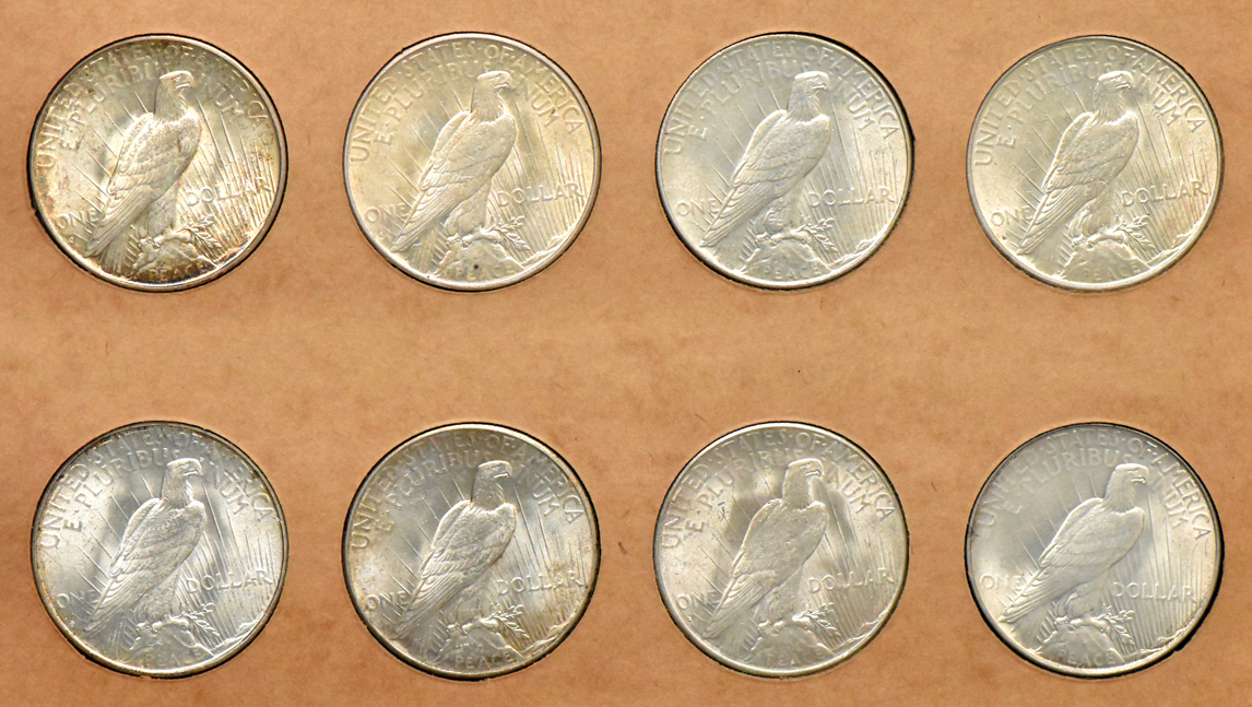 Collection of Peace dollars in a complete Wayte Raymond album