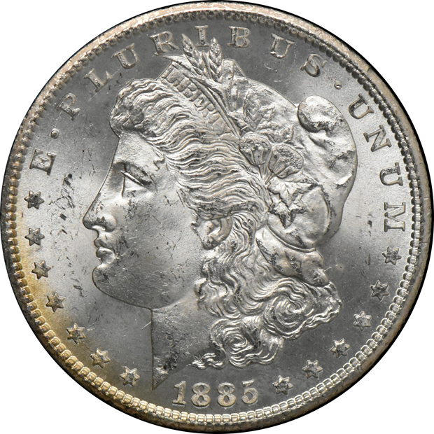 Five GSA Morgan silver dollars, 1881-CC through 1885-CC, all CACG MS-64