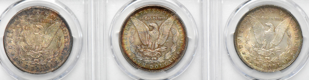 Seven Uncirulated toned Morgan silver dollar certified by PCGS
