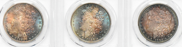 Seven Uncirulated toned Morgan silver dollar certified by PCGS