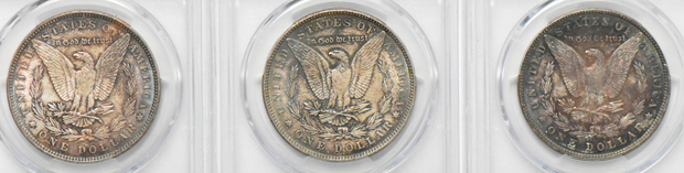 Seven Uncirulated toned Morgan silver dollar certified by PCGS