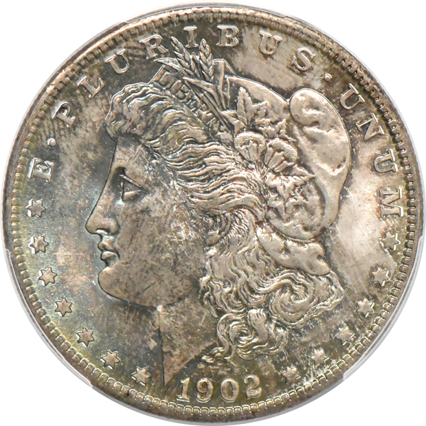 Seven Uncirulated toned Morgan silver dollar certified by PCGS
