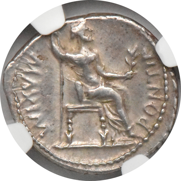 Roman Empire - AD 14-37 denarius - NGC 3/5, 3/5