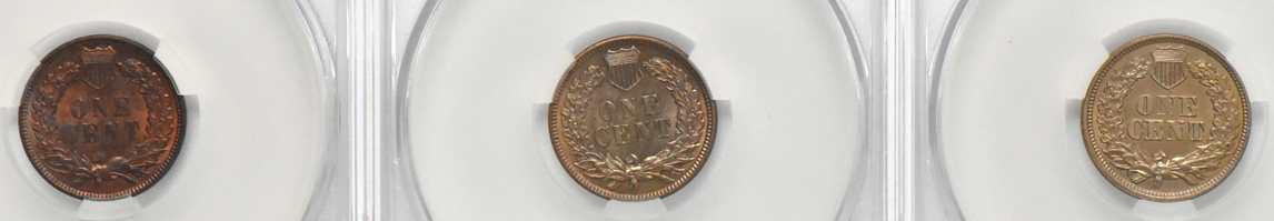 Eight Indian Head cents, all CACG details