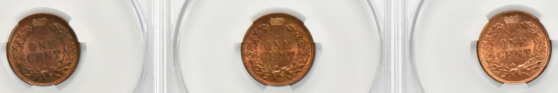 Eight Indian Head cents, all CACG details