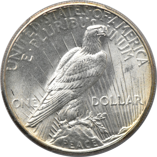 1922-D MS-64, 1923-S MS-64, and a 1927 MS-63 (damaged holder), all PCGS