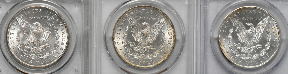 Five GEM Morgan dollars, all PCGS
