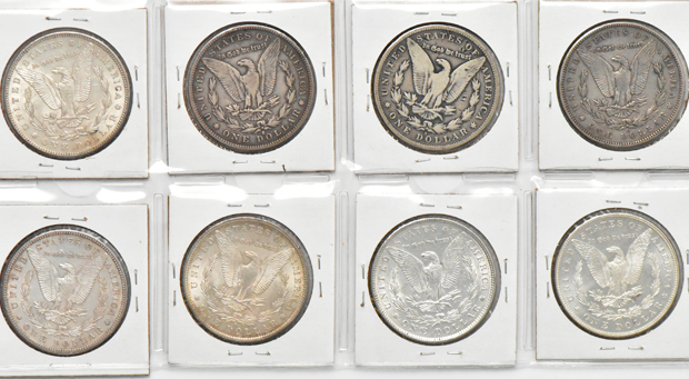 Group of twelve Morgan silver dollars