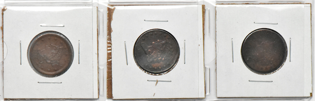 Group of 13 different half cents