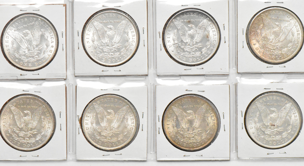 Group of 17 Morgan silver dollars