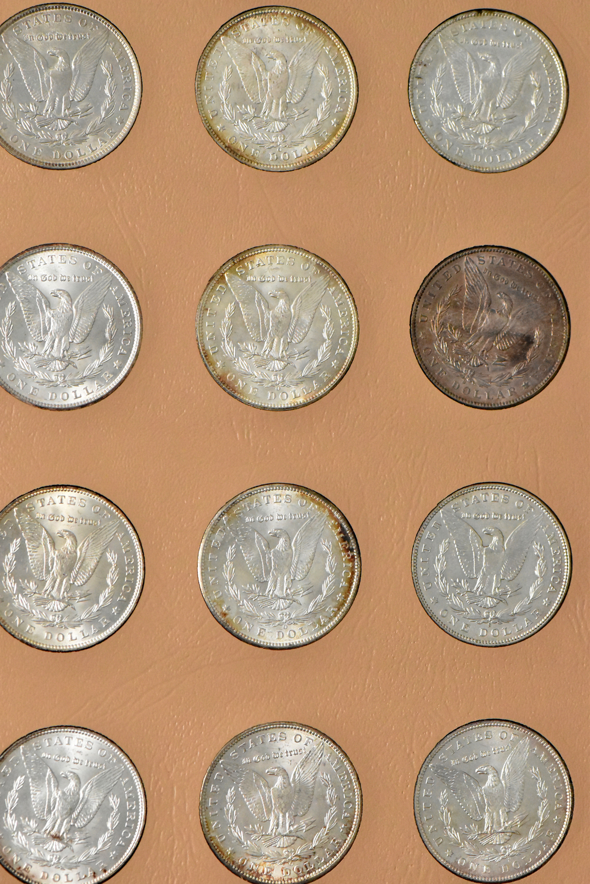 Collection of Morgan and Peace silver dollars in a single Dansco album