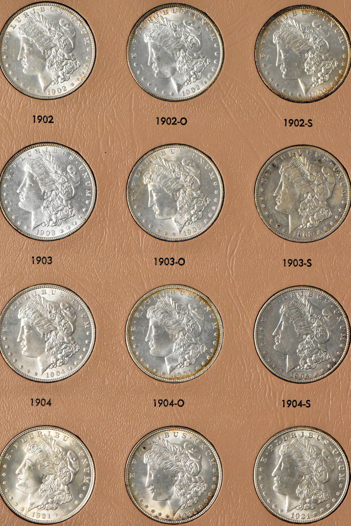 Collection of Morgan and Peace silver dollars in a single Dansco album