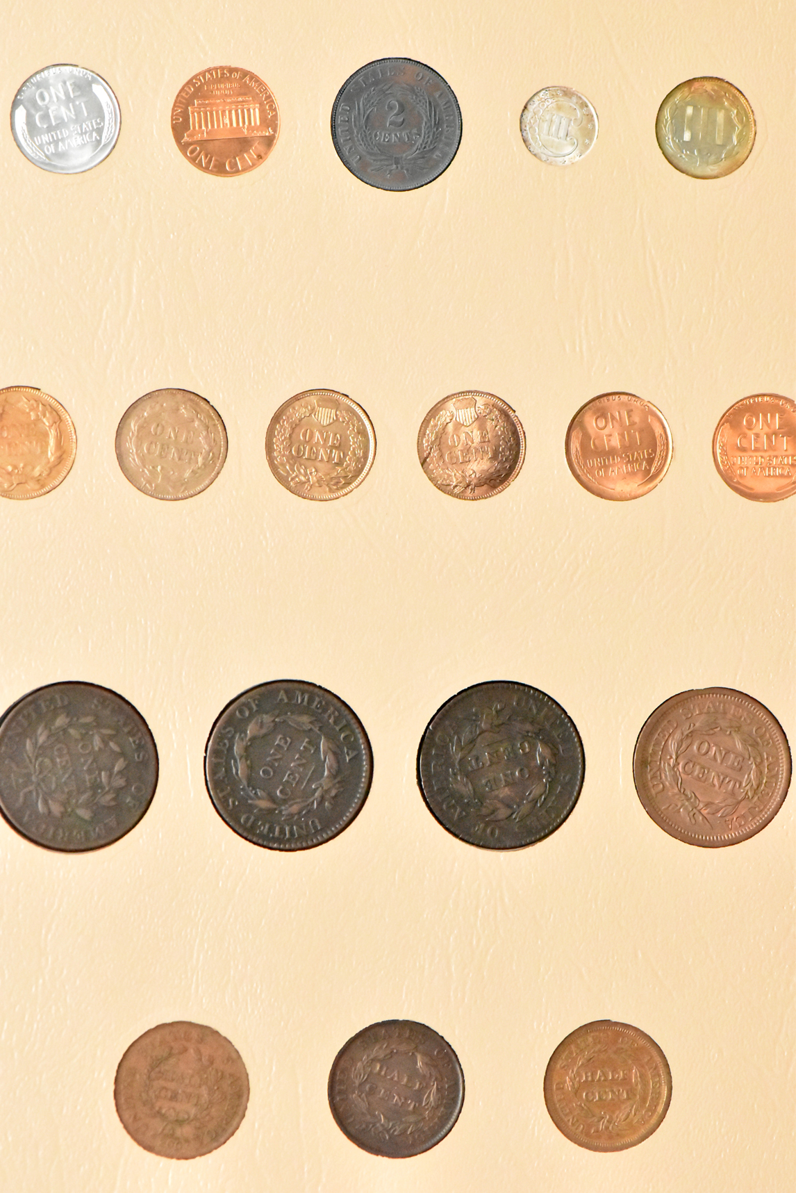 United States type collection in a complete Dansco 7070 album