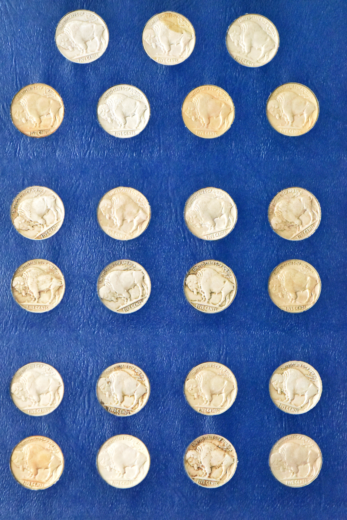 Collection of 65 different Buffalo nickels in a Whitman 9408 albim