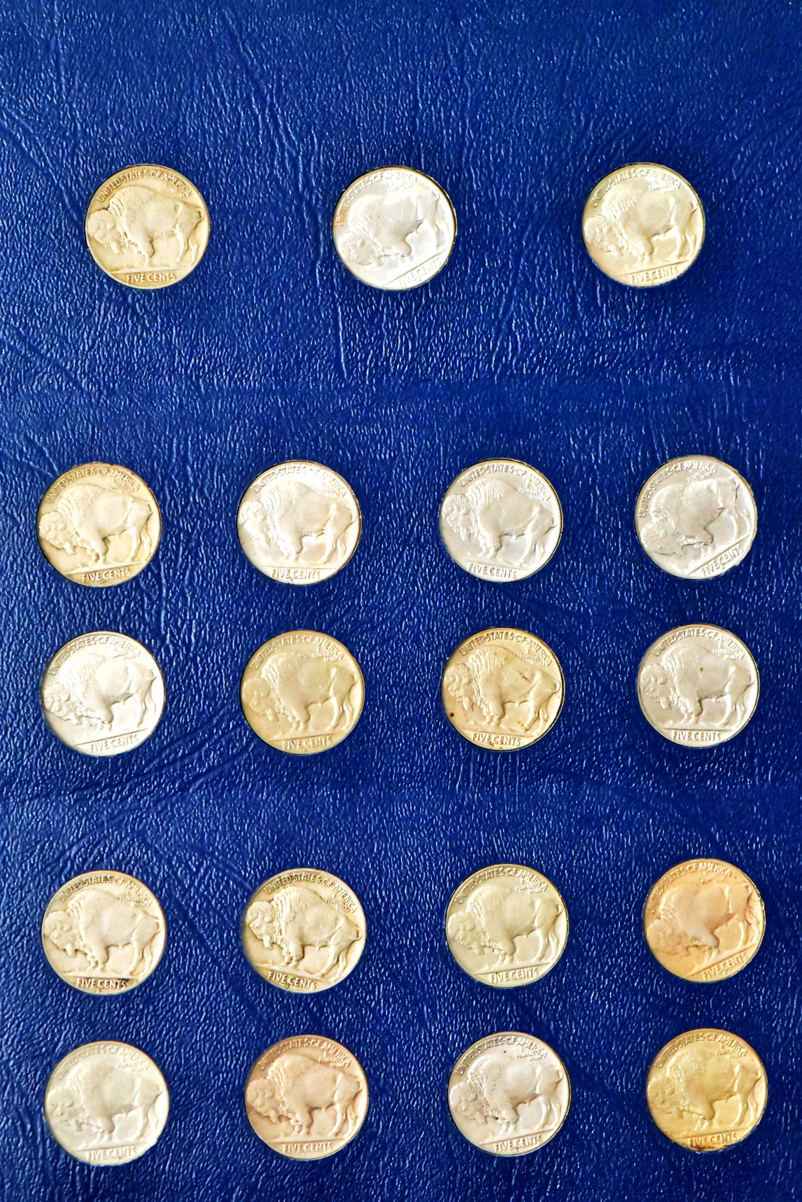 Collection of 65 different Buffalo nickels in a Whitman 9408 albim