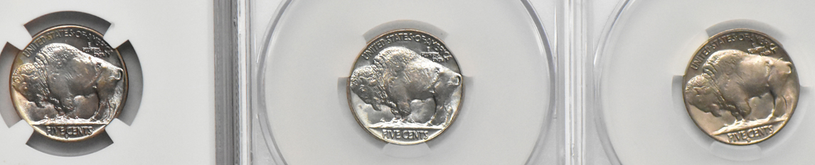 Five Buffalo nickels and a Proof Jefferson nickel, all certified