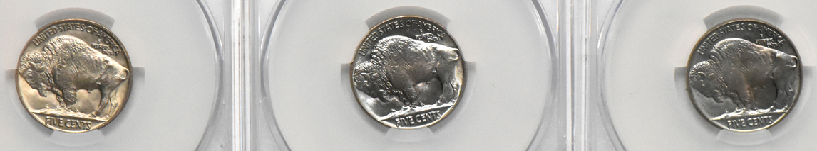 Six Gem UNC Buffalo nickels certified by CACG