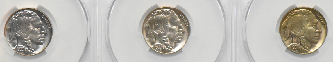 Six Gem UNC Buffalo nickels certified by CACG