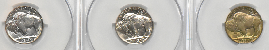 Six Gem UNC Buffalo nickels certified by CACG
