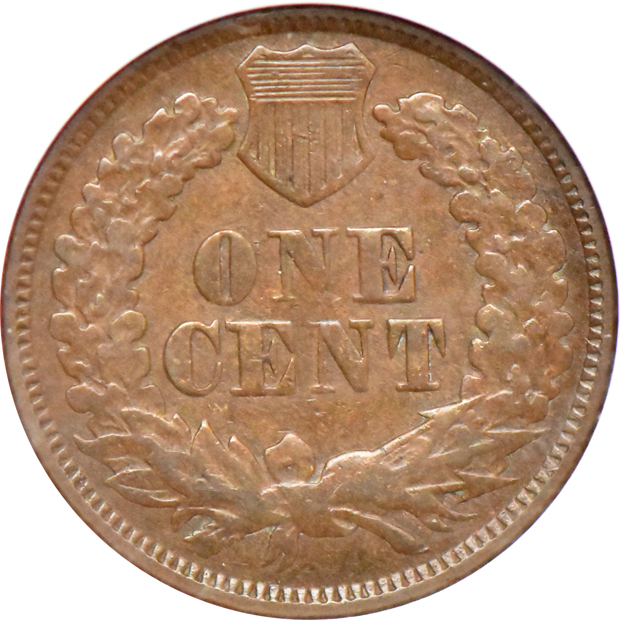 1877 ANACS VF-30 details/cleaned